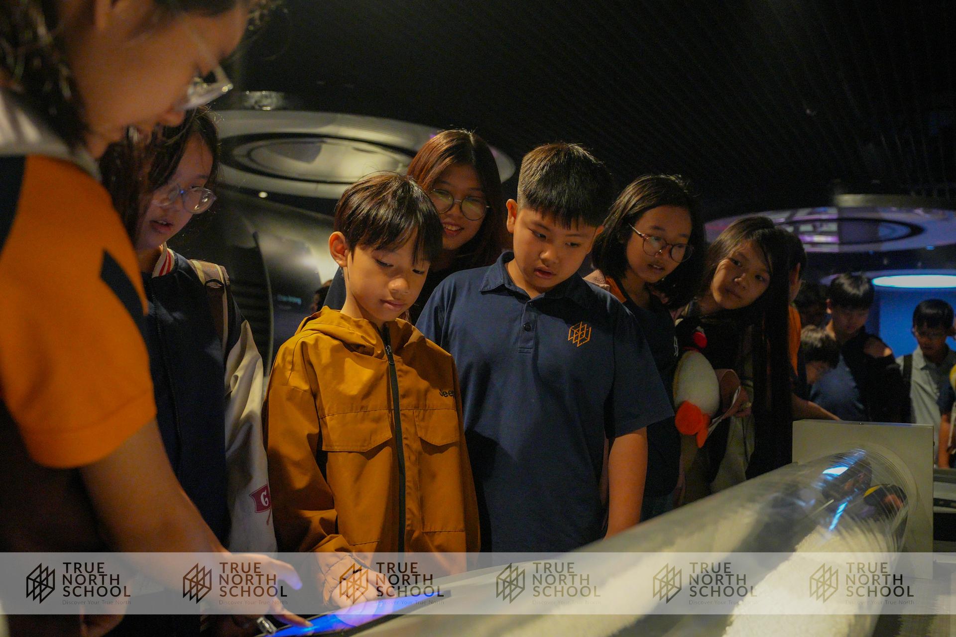 downloadable image