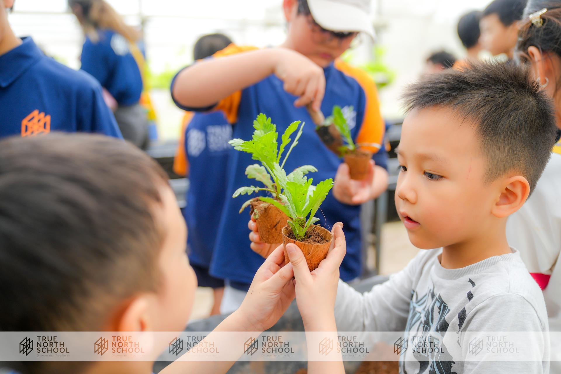 downloadable image
